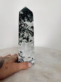 Moss Agate Large ~ 5
