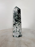 Moss Agate Large ~ 5