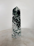 Moss Agate Large ~ 5