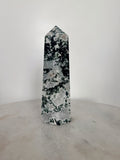 Moss Agate Large ~ 5