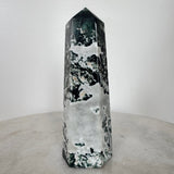 Moss Agate Large ~ 5