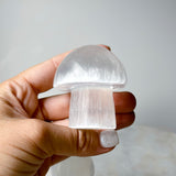 Selenite Mushroom