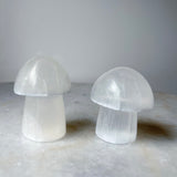 Selenite Mushroom