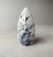 Dendritic Opal ~ 1