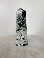 Moss Agate Large ~ 5