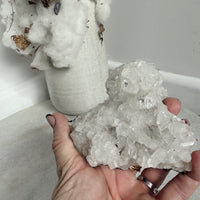 Apophyllite Cluster